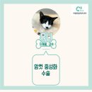 유니동물병원 이미지