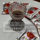 건강즙 추천] 국내산 6년근 홍삼으로 달인 깊은 맛과 영양 💛, 홍성인삼총판 홍삼액 후기❗️(홍삼즙 추천 ✅)
