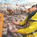 대이리농장 이미지