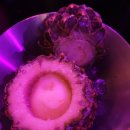 달밤포차 이미지