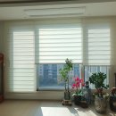 신반포자이아파트 앞 | 잠원동블라인드 메이플자이 가성비 갑 깔끔하게 맞춤제작