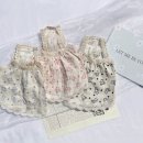 파자마독 이미지