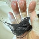 임산부 선물 임산부 샴푸 추천 오가닉그라운드 탈모 완화 샴푸 링크맘 최저가 후기