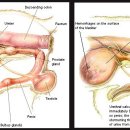 이:은동물병원 이미지