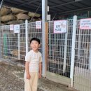 산들염소농장 이미지