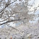 옥항아리보쌈 이미지