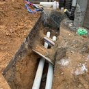 코아&2060 이미지