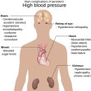 HTV 휘트니스 이미지