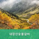 내장산숯불갈비 이미지