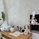 플라워맨카페(flower man cafe) | 오산 신상 유럽 감성 브런치카페 ‘하우스오브포지’ 내돈내산 후기