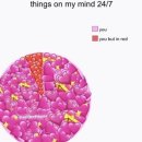 데이리에 이미지