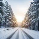 수안보관광안내소 | 수안보온천 가족탕 예약 정보 총정리｜가격·위치·꿀팁까지 한눈에!♨️