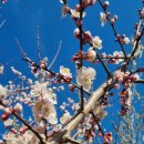 걸매생태공원 이미지