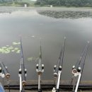 용풍낚시터 이미지