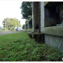 정용균 효행문서 및 정려비 이미지