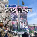 온천천 | 사람이 이렇게나 많다고? 부산 2026 온천천 벚꽃축제 방문 후기!