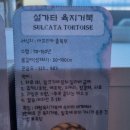 락플하비카페
