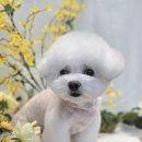 리드 행정사무소 이미지