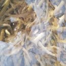 물방개당구장 이미지