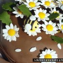 풀잎문화센터 이미지