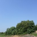 부발읍-01 이미지