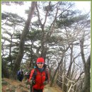 대공원입구로 이미지