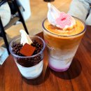 미인목장 | 폴바셋 체리블라썸 카페라떼, 봄 한정 신메뉴 가격·칼로리 솔직후기 (ft 롯데아울렛 이천점)