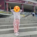 한일스포츠 | [서울 고척돔] 2025 불꽃파이터즈 야구 한일장신대편 아이랑 직관 후기