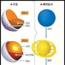 (주)퍼스트원 이미지