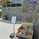 세이지우드 홍천산양목장 이미지