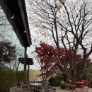 오렌지팩토리앞 | [고양 덕양구 카페 - 더츠커피팩토리] 행주산성 카페 야외정원이 있는 베이커리카페 주말 방문 후기