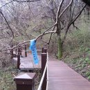 생이소리 이미지