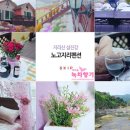노고지리팬션 이미지