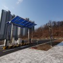 그린숲케어 이미지