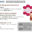 독일효소