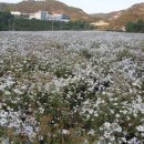 인삼랜드휴게소 이미지