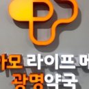 광명약국 네이버블로그