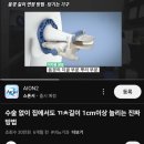 고마그네슘 혈증 부갑상선,당뇨 조스들 실체들임 ^^류신 인슐린 bcaa동맥근 노발들메타 이미지
