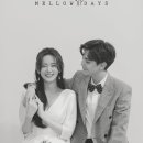 멜로우데이즈