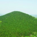 동부목장 이미지