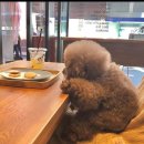 이천(하남) 이미지
