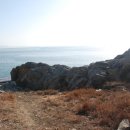 쉼터사슴농장 이미지