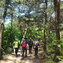 (주)솔마루 이미지