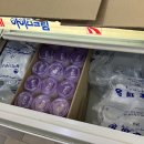 그루터기 캠핑장 | 양양 그루터기캠핑장 @계곡캠핑장 @나만알고싶은캠핑장