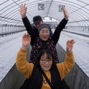 혜숙농장 이미지