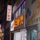애견용품할인점24 | 부산애견용품 반여동 24시 매장 댕근마캣 고양이 용품 후기