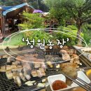 대전 보문산, 오월드 근처 돼지생갈비 맛집 | 사정동 청원농장 솔직 후기