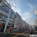 JY태권도 이미지