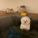 스테이 감동 이미지