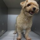 파란종합 동물병원 이미지